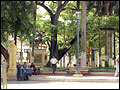 Plaza de Bol&iacute;var - Cartagena de Indias