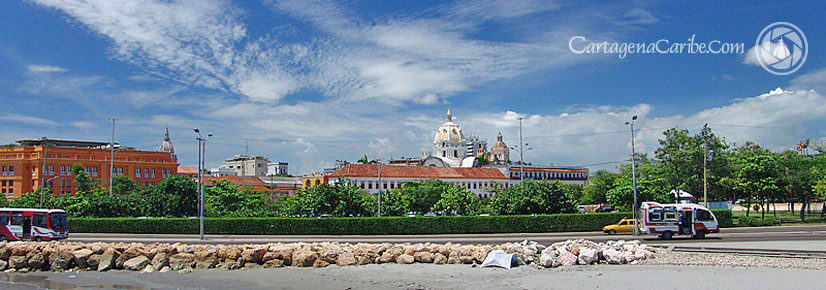 Vista Panor&aacute;mica del Centro